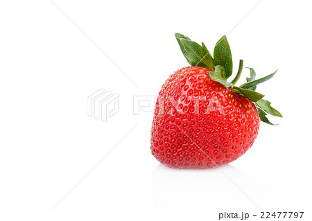 fresh strawberries on white 22477797