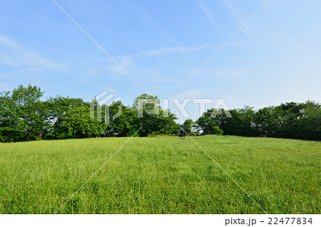 牛久保公園 牛久保公園 22477834