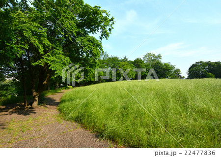 牛久保公園 牛久保公園 22477836