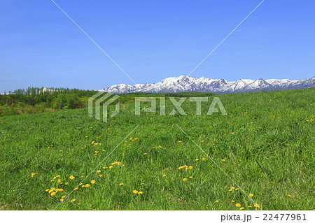 北海道 富良野市 草原と残雪の芦別岳 北海道 富良野市 草原と残雪の芦別岳 22477961