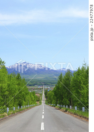 北海道 上富良野町 一本道と山並みの写真素材