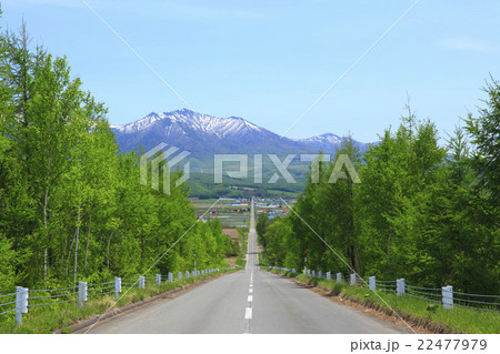 北海道 上富良野町 一本道と山並み 北海道 上富良野町 一本道と山並み 22477979