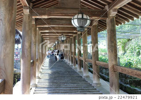 長谷寺 22479921