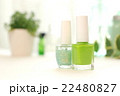 マニキュア 22480827