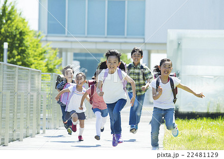 屋外の小学生 屋外の小学生 22481129