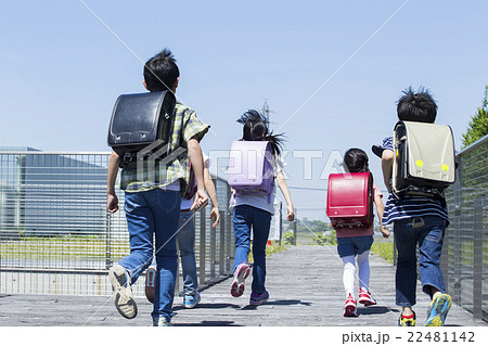 屋外の小学生 22481142
