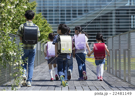 屋外の小学生 22481149