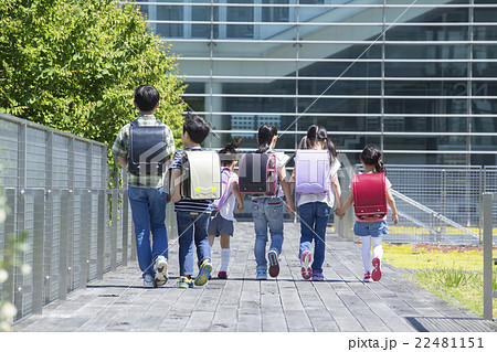 屋外の小学生 22481151