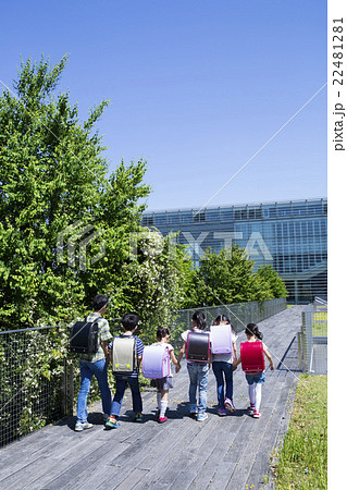 屋外の小学生 22481281
