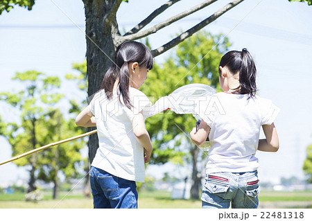 屋外で遊ぶ小学生 22481318