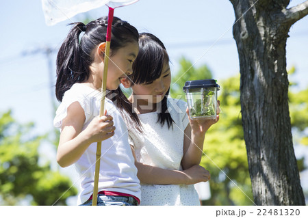 屋外で遊ぶ小学生 22481320
