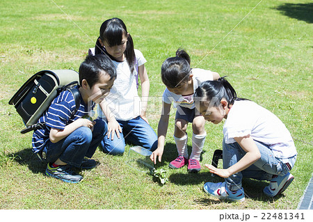 屋外で遊ぶ小学生 22481341