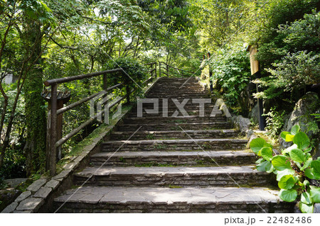 万葉公園 22482486