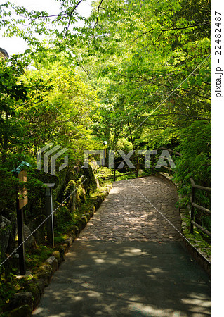 万葉公園 22482487