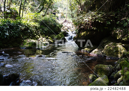 万葉公園 22482488