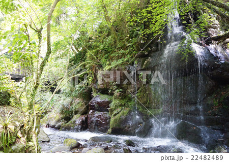 万葉公園 22482489