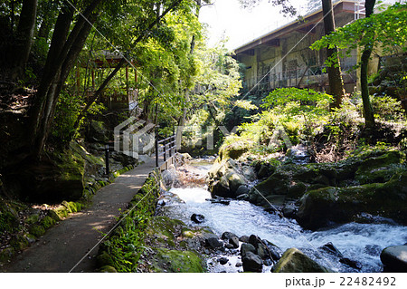 万葉公園 万葉公園 22482492
