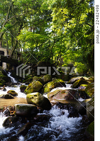 万葉公園 22482498