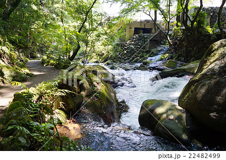 万葉公園 万葉公園 22482499