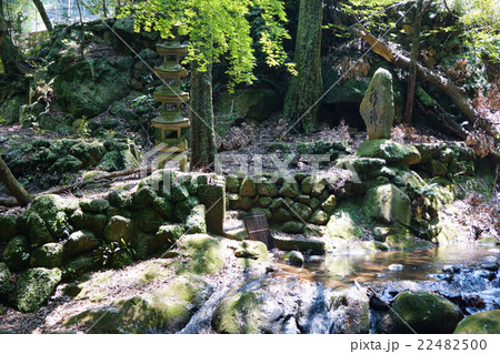 万葉公園 22482500