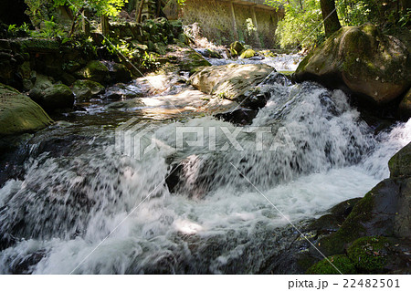 万葉公園 22482501