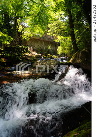 万葉公園 22482502