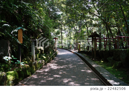 万葉公園 22482506