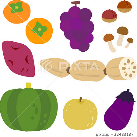 日本の秋の野菜 果物のイラストセットのイラスト素材 22483137 Pixta