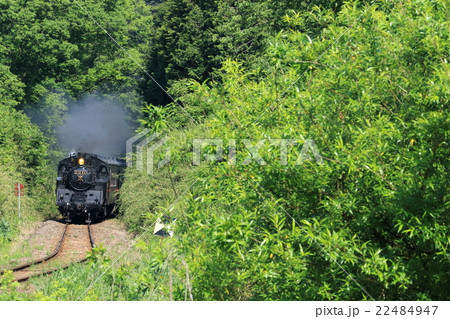 真岡鐵道「山間部の新緑とSL」 22484947