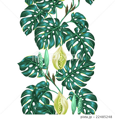 Seamless Pattern With Monstera Leaves Decorativeのイラスト素材 22485248 Pixta