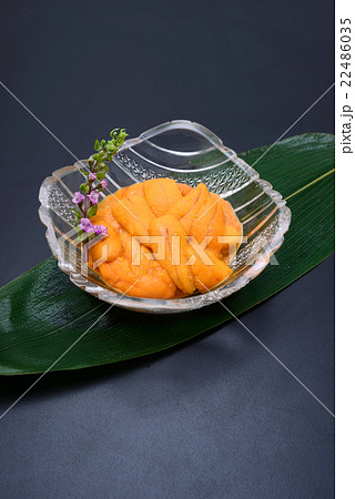 うに うに 22486035