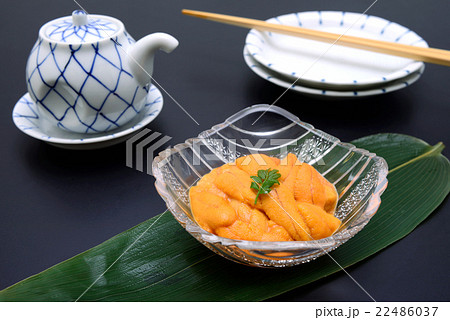 うに うに 22486037