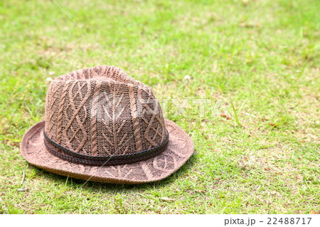 夏イメージ 22488717