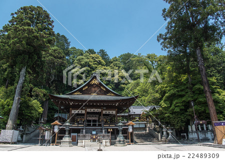 滋賀県　近江八幡　新緑の日牟禮八幡宮 22489309