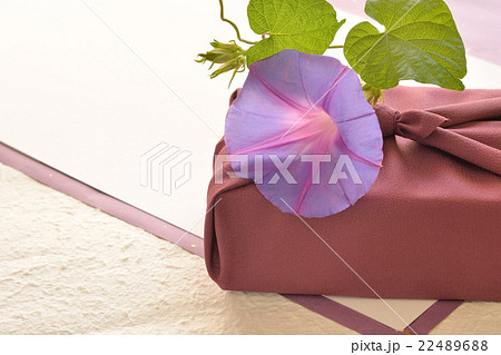 朝顔と風呂敷包み　お中元イメージ 22489688