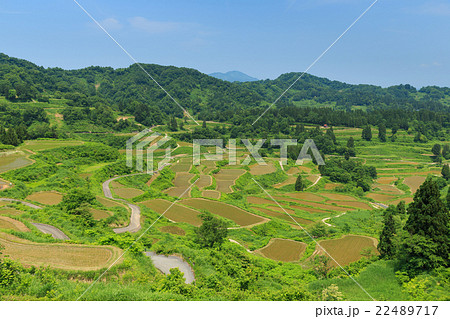 星峠の棚田 星峠の棚田 22489717