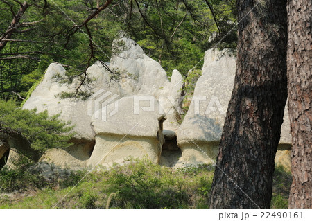 浄土松公園　きのこ岩～2016初夏 22490161