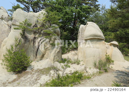 浄土松公園　きのこ岩～2016初夏 22490164