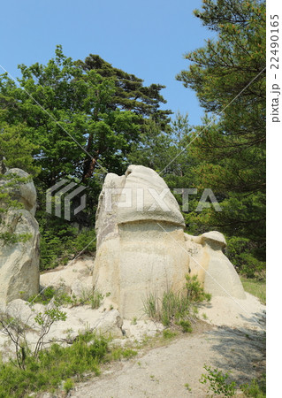浄土松公園　きのこ岩～2016初夏 22490165