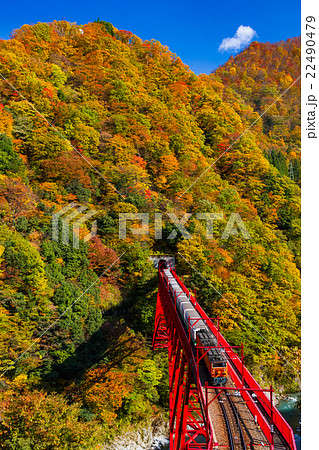 宇奈月トロッコ列車 22490479