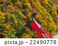 宇奈月トロッコ列車 22490778