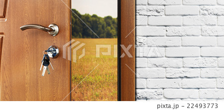 Entrance door half opened to the nature background Entrance door half opened to the nature background 22493773