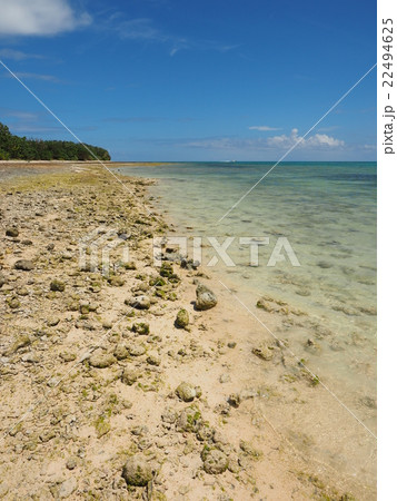 沖縄 竹富島の石がゴロゴロした星砂の浜 カイジ浜 と青い海と夏空の写真素材