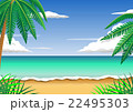 ビーチ 22495303