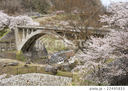 桜の花と坂戸橋 22495833