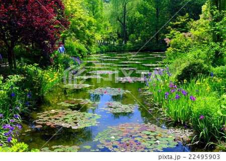 睡蓮の花咲くモネの庭 22495903