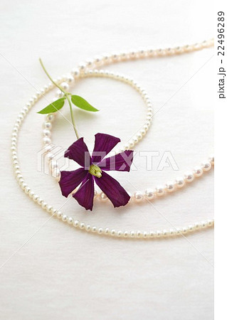 真珠とクレマチス 22496289
