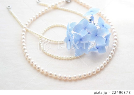 真珠と紫陽花 真珠と紫陽花 22496378