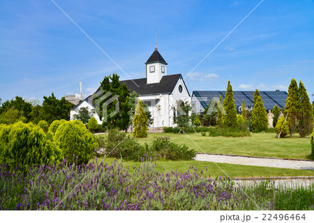 ローズマリー公園 ローズマリー公園 22496464