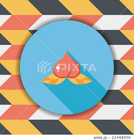 Chinese New Year peaches of immortality flat icon wtih long shad 22498056